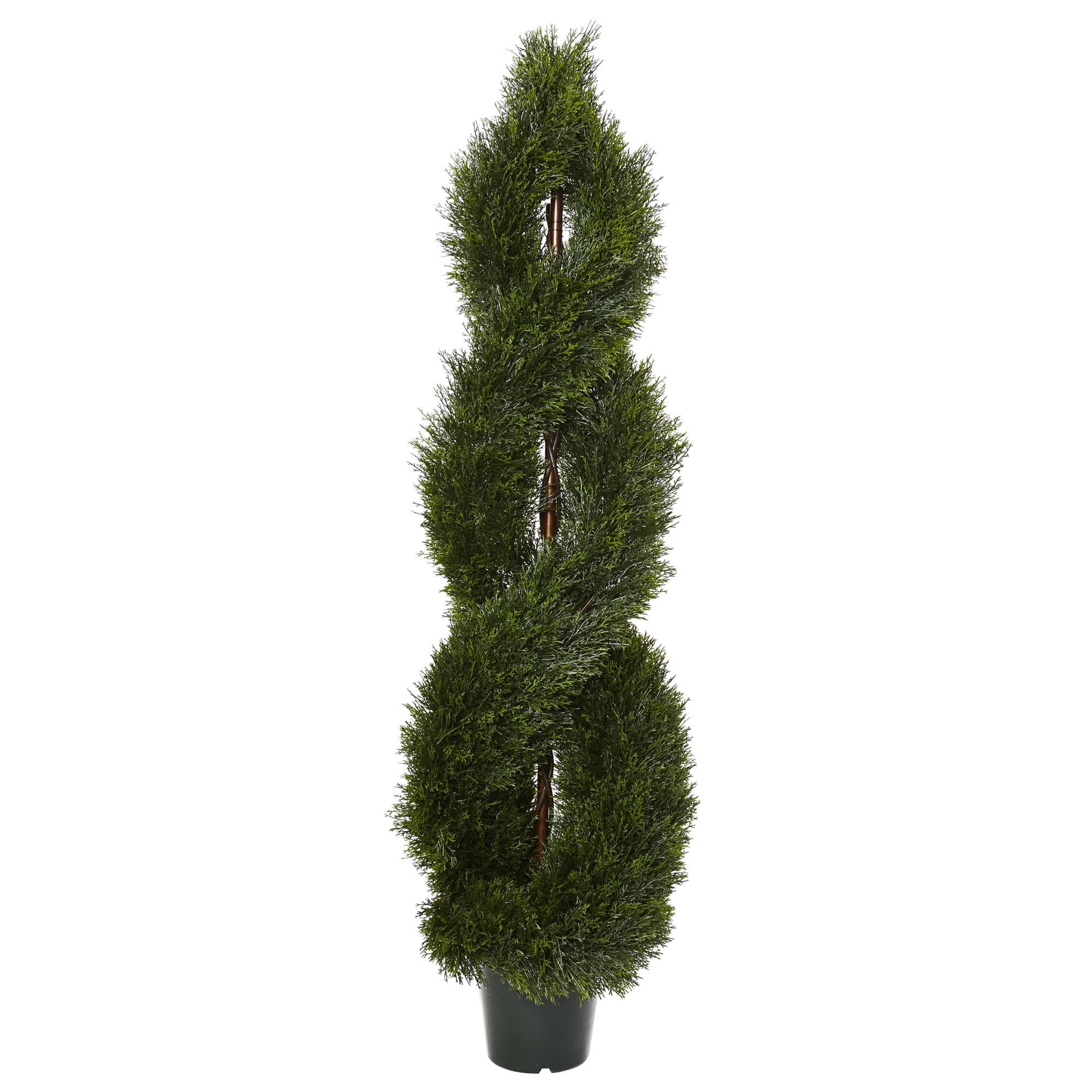 5ft. Potted Double Pond Cypress Spiral Topiary Tree